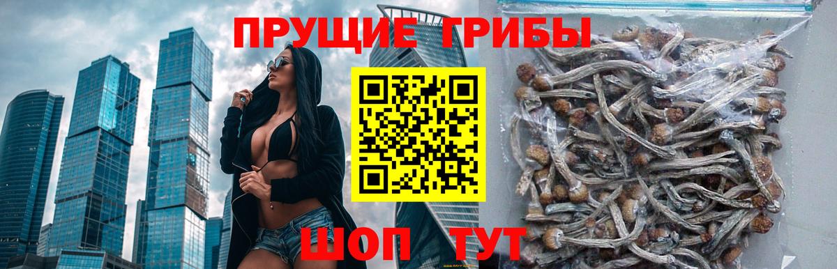 Сибай  купить  сайты  Вход с VPN  Галлюциногенные грибы GOLDEN TEACHER 